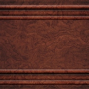 Wood Panel XBOX-360